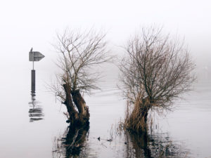 Lakeside in the autumnal fog Lakeside in the autumnal fog